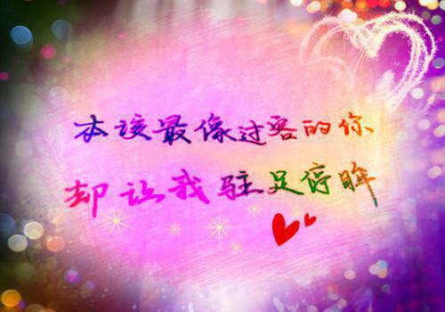 人面桃花长相忆一致好评最新章节列表_人面桃花长相忆一致好评全文免费阅读(阮雾梨闻砚辞)