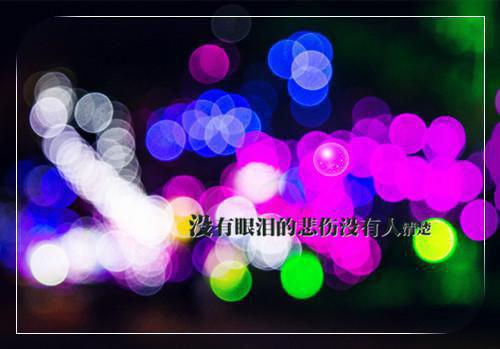 梁明昭的小说浮灯灿烂一朝灵魂人物梁明昭沈砚卿林蓁蓁全文在线阅读