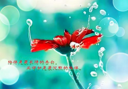 一百次后我把你归还于人海最新小说（顾瑜林若如）全文阅读
