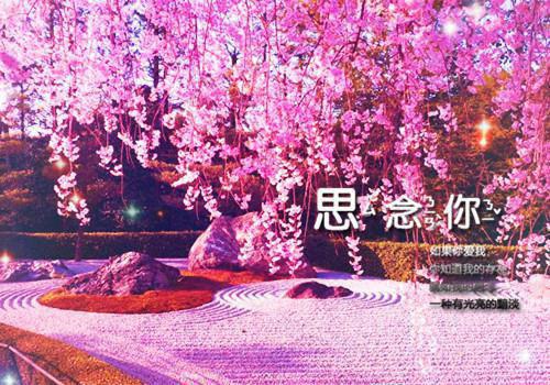 盛景玉苏文鸢新鲜出炉（盛景玉苏文鸢）终章阅读无广告