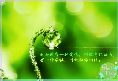 经典小说夭夭谋心夭夭裴霁月全章节免费阅读