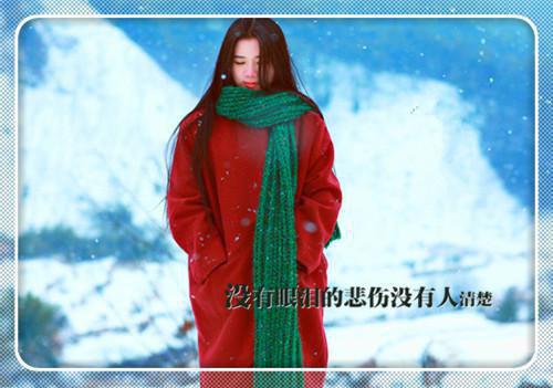 顾西洲的小说爱似流萤诀别无声：+结局+番外顾西洲虞晚星全文在线阅读