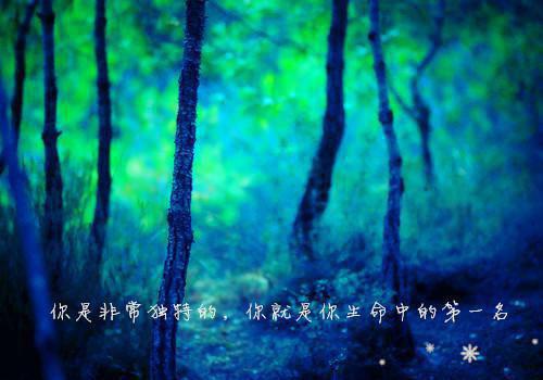宋楚禾祁知行宋家,星黛露,远峰全本免费小说目录试读
