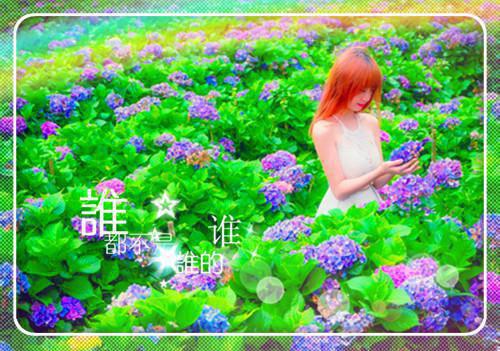 陆予深乔青穗：最完整版全文清爽版在线+无广告结局（乔青穗陆予深）