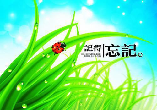 八零年代老公参加航天计划，在基地另娶了最新章节列表_八零年代老公参加航天计划，在基地另娶了全文免费阅读(***周翠云)