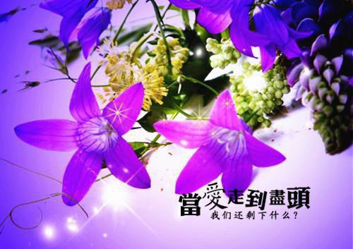 王爷求成亲！我要长命百岁（慕笙笙蔺洵）最新章节_王爷求成亲！我要长命百岁全文阅读