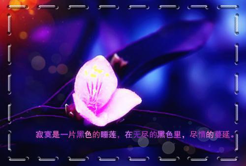 (番外)+(全文)邪灵附身txt下载阅读_(许安明杨彦)邪灵附身最新章节列表_笔趣阁（许安明杨彦）