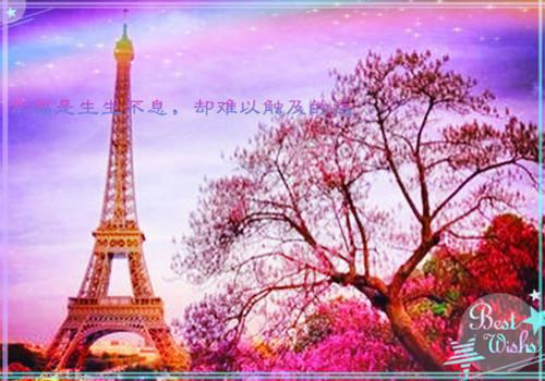 灵泽韵的小说宠爱成瘾：凌少的呆萌妻上官蓝冰南辰凌全文在线阅读