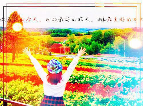 此去经年人未还沈青禾：前言+后续+结局宝藏最新章节_此去经年人未还沈青禾：前言+后续+结局宝藏全文阅读