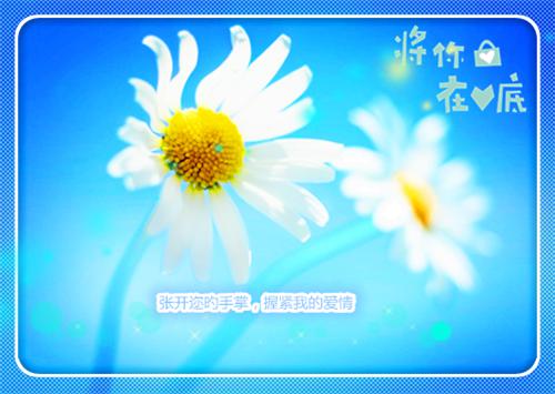 完结文绿茶宠妾苟在后院被全京抱大腿了最新章节列表_完结文绿茶宠妾苟在后院被全京抱大腿了全文免费阅读（江绯傅云雁）
