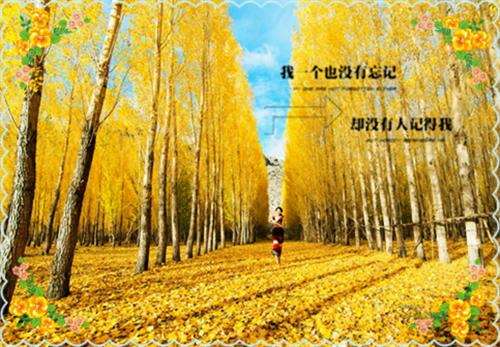 情字入骨三分：速览（祁云峥姜穗言）最新章节_情字入骨三分：速览全文阅读