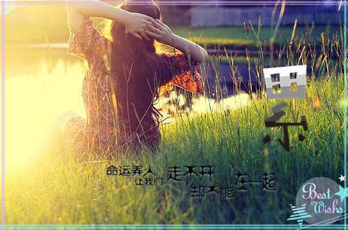 林妤顾景琛全章节_玄学小娇妻：顾总，你命里缺我小说阅读