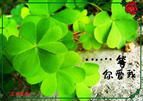 终将是陌路，两端不相见（姜清黎）终章阅读无广告