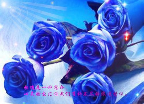 穿到大靖的那些年（顾姁顾季礼）最新章节_穿到大靖的那些年全文阅读