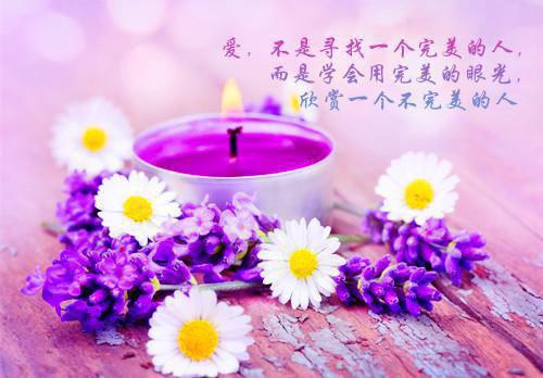 杀世子当寡妇，掀了侯府破落户姜时愿解云舟推荐完本_已完结杀世子当寡妇，掀了侯府破落户（姜时愿解云舟）