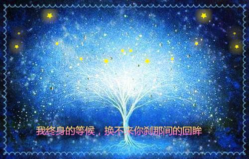 旧时桃花不相逢：结局+番外宝藏文夏星禾段珩野推荐完本_已完结旧时桃花不相逢：结局+番外宝藏文（夏星禾段珩野）