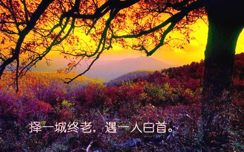 改选新夫婿，陛下他急眼了！：全文小说苏翩语陆梵小说在线阅读