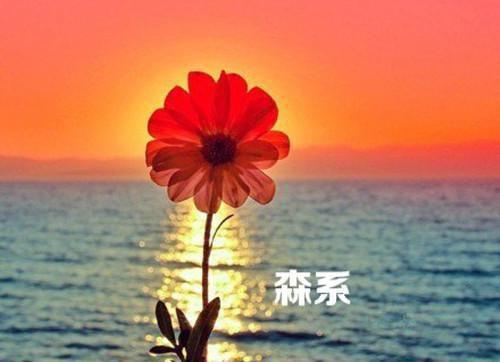 刚重生校花就想和我结婚「免费小说」杨习均,李海川,柳雪儿全集阅读