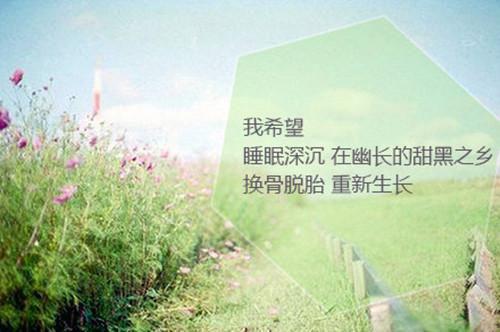 愿执手长夜漫漫：精彩剧情（陆昭昭陆斯宴）全文免费_（陆昭昭陆斯宴）愿执手长夜漫漫：精彩剧情后续阅读（陆昭昭陆斯宴）