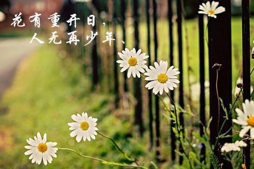 穿越后，夫君连同妹妹把我送进牢狱（顾庭叶萧明钰宋桃枝）全文免费_（顾庭叶萧明钰宋桃枝）穿越后，夫君连同妹妹把我送进牢狱后续阅读（顾庭叶萧明钰宋桃枝）