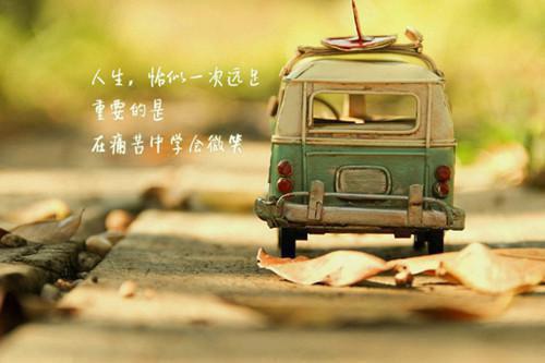 臣妻太美：陛下夜夜想偷欢！（苏栀栀卫兴淮）全文免费_（苏栀栀卫兴淮）臣妻太美：陛下夜夜想偷欢！后续阅读（苏栀栀卫兴淮）