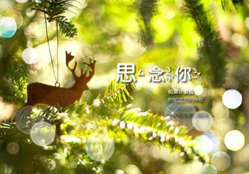 看飞絮吹乱烟雨：热门求书畅销书籍孟清慈程予桉