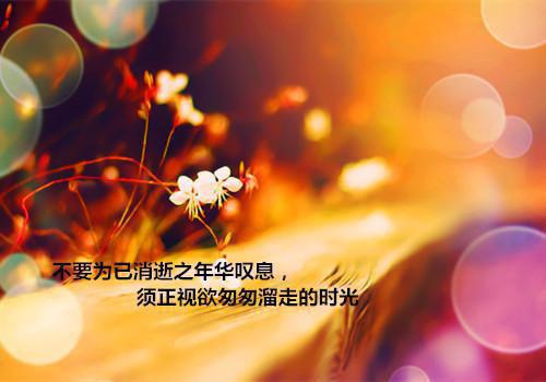 沈煜谢晚烟完结版在线阅读_沈煜谢晚烟免费阅读全文最新章节列表_沈煜谢晚烟全集免费阅读_沈煜谢晚烟全文免费阅读无弹窗大结局