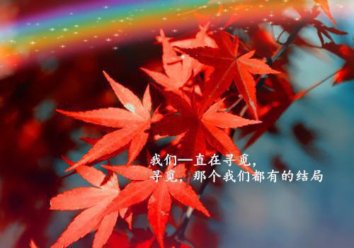 (番外)+(全文)童希傅晏：结局+番外+完结童希傅晏：结局+番外+完结小说全文免费阅读无弹窗大结局_(童希傅晏：结局+番外+完结)童希傅晏：结局+番外+完结最新章节列表笔趣阁（童希傅晏：结局+番外+完结）