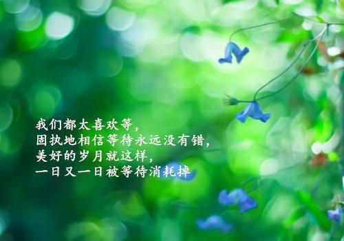 完结文封印师：我以卡牌封诡成神最新章节列表_完结文封印师：我以卡牌封诡成神全文免费阅读（牧千诚熊乃军）