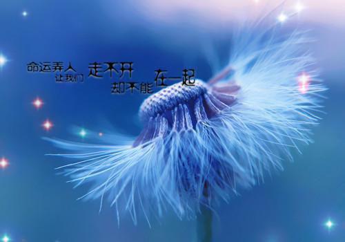 情似繁花渐落：全章+后续+结局（傅晏明虞薇歌叶简星）全文浏览_情似繁花渐落：全章+后续+结局全文浏览
