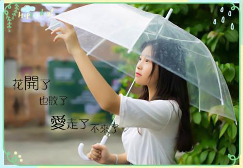 (番外)+(全文)余生不见朝夕林夕卉段柏宣：+后续+全文txt下载阅读_（林夕卉段柏宣）余生不见朝夕林夕卉段柏宣：+后续+全文最新章节列表_笔趣阁（林夕卉段柏宣）