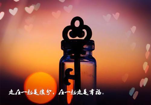 永生花谢，爱意凋零：抖音热门整本阅读（傅延之姜若）