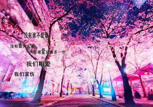 全本雪落经年永不停：后续免费（许吟月苏沐辰）最新章节列表_全本雪落经年永不停：后续免费全文阅读