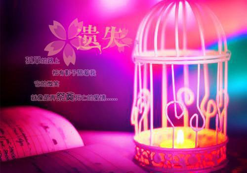 全文小说慕澜盛之蕴目录免费阅读