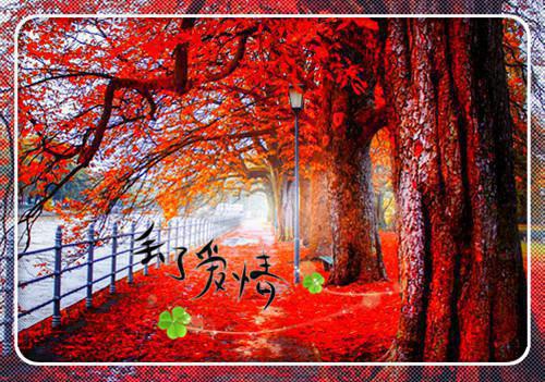 王爷真进火葬场了全文小说薛莹周屿森小说在线阅读
