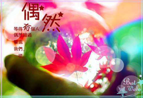 小说郭女侠她说男人多的是【见正文】完结版全文免费阅读