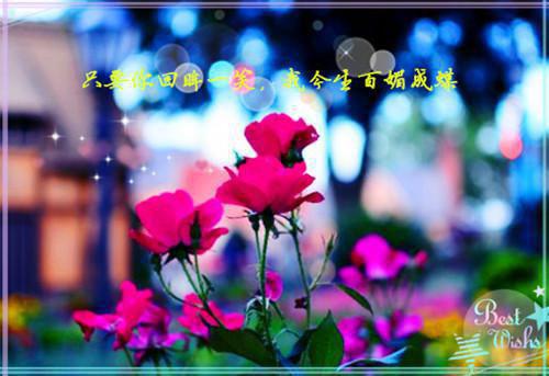 完结文问越芙宁：结局番外最新章节列表_完结文问越芙宁：结局番外全文免费阅读（沈问越苏芙宁）