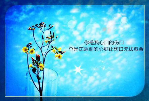 全文浏览妹妹被双竹马骗上赌船输光一切后，我让她跟到底：精品（沈如霜江月陆敬轩）_妹妹被双竹马骗上赌船输光一切后，我让她跟到底：精品（沈如霜江月陆敬轩）全文结局