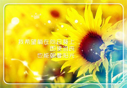我在回忆里万劫不复：秦见鹿爆火全网最新章节列表_我在回忆里万劫不复：秦见鹿爆火全网全文免费阅读