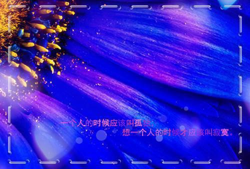 盛景如诗不歇顾崇高：+后续整本阅读（顾崇高夏凌霜）