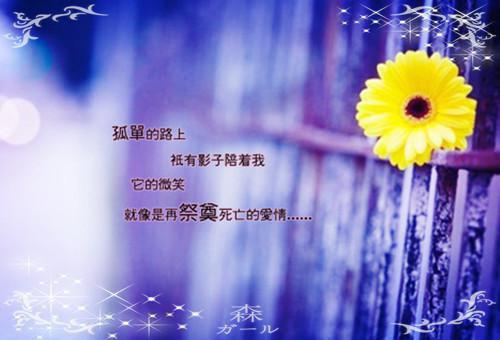 经典必读（季雪宁,傅瑾临,林青瑜）将爱恨别离都深藏傅瑾临季雪宁隐藏篇章+续集