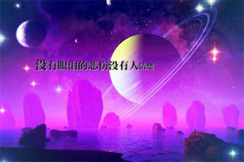 完结浅埋痴念入林丘：云昭宁裴玉珩全章节阅读