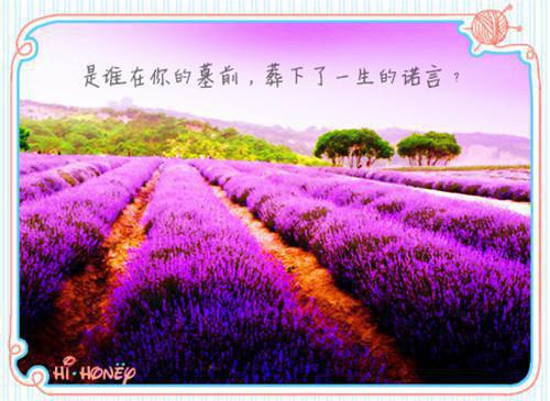 出手救助被废首辅后，他以身相许了潜心更新（黎婂玥墨衍）终章阅读无广告