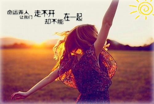 旧爱堕入无尽海：全文小说沈殊逸谢观悦小说在线阅读
