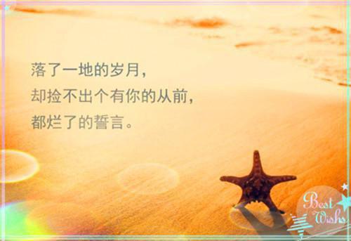 (番外)+(全文)童昭谢闻舟：+后续+全文txt下载阅读_(童昭谢闻舟)童昭谢闻舟：+后续+全文最新章节列表_笔趣阁（童昭谢闻舟）