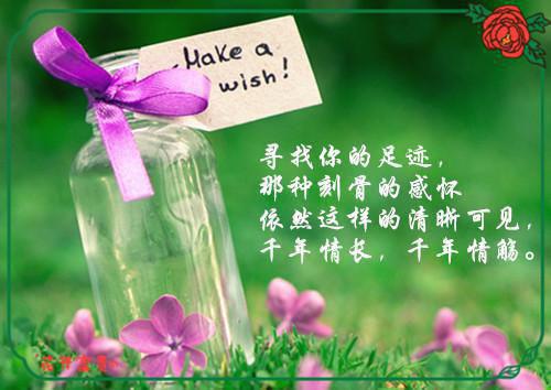 回首爱你正浓时：结局+番外必读文（周稚芸沈墨琛）全文浏览_回首爱你正浓时：结局+番外必读文全文浏览