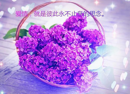 小说后续全文 许思梨沈辞越：余温散尽时：最新小说后续全文许思梨沈辞越完整版在线阅读_许思梨沈辞越（许思梨沈辞越：余温散尽时：最新）完结阅读无弹窗大结局