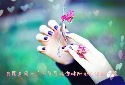 (番外)+(全文)沈煜谢晚烟林时川：爽文免费下载阅读_（谢晚烟林时川沈煜）沈煜谢晚烟林时川：爽文最新章节列表_笔趣阁（谢晚烟林时川沈煜）