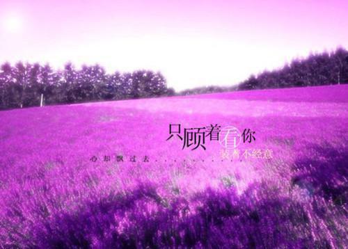 全本此去经年人未还赏析（沈青禾霍沉洲）最新章节列表_全本此去经年人未还赏析全文阅读
