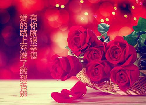 容火爆小说封庭琳,都想,回校